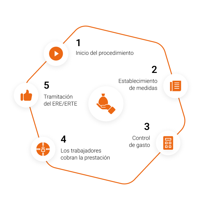 Te contamos cómo llevamos a cabo la gestion erte